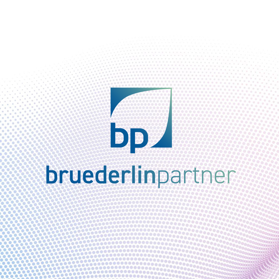 Die bruederlinpartner Gruppe